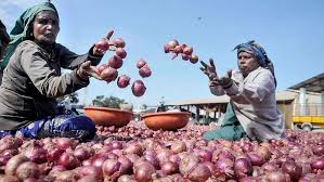 Onion rates