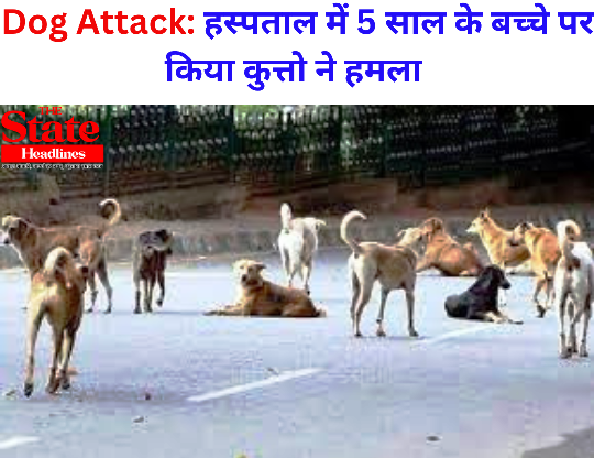 Dog Attack