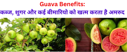 Guava Benefits