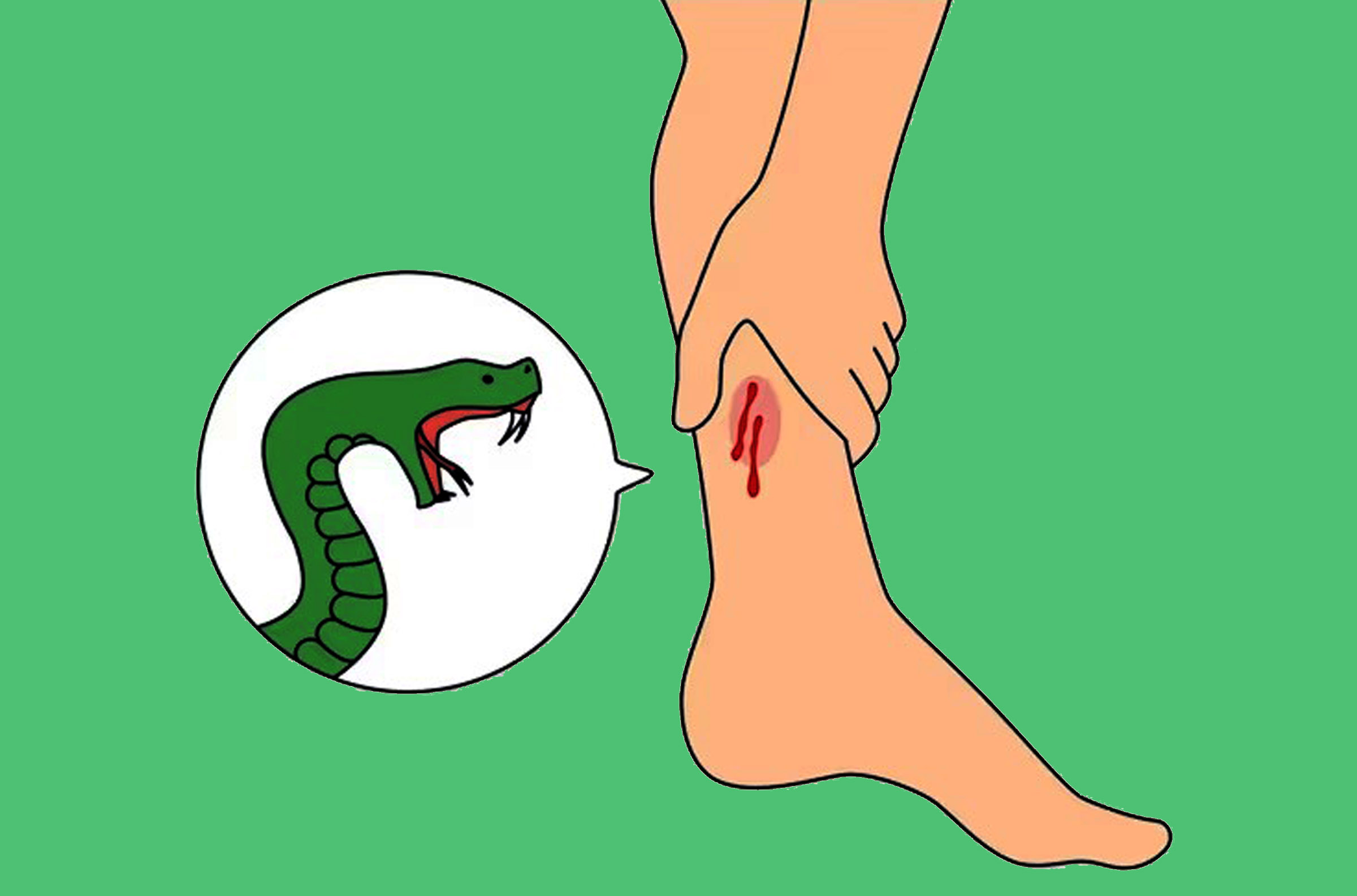 Snack bite