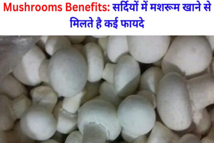 Mushrooms Benefits