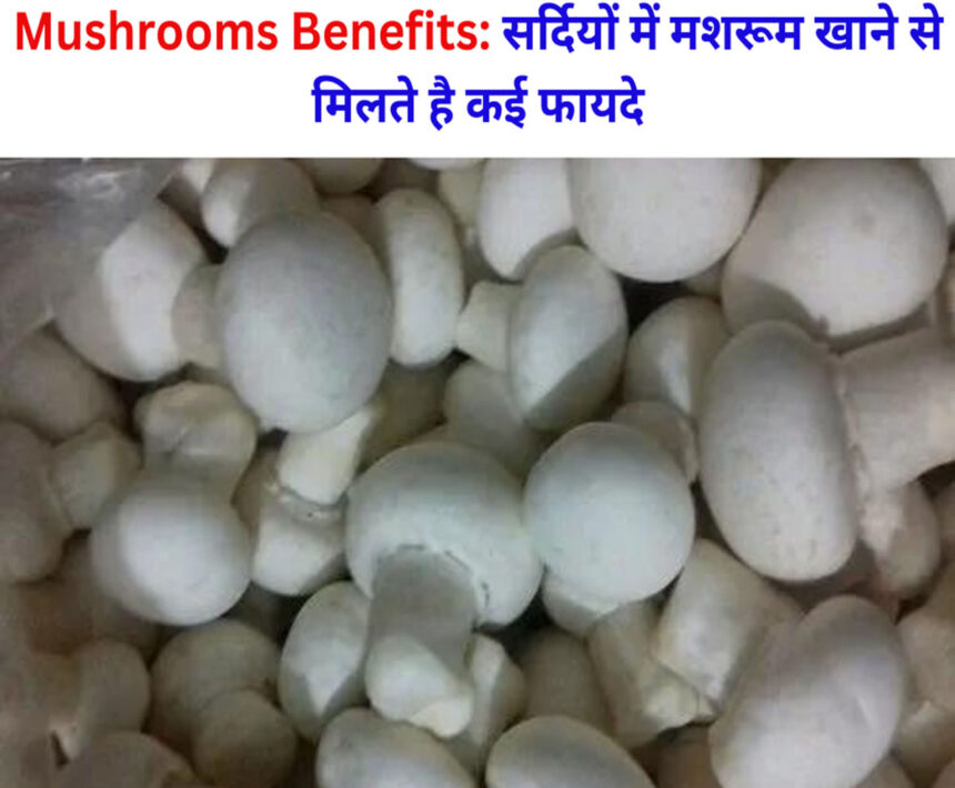 Mushrooms Benefits
