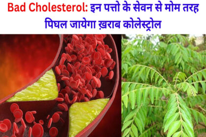 Bad Cholesterol